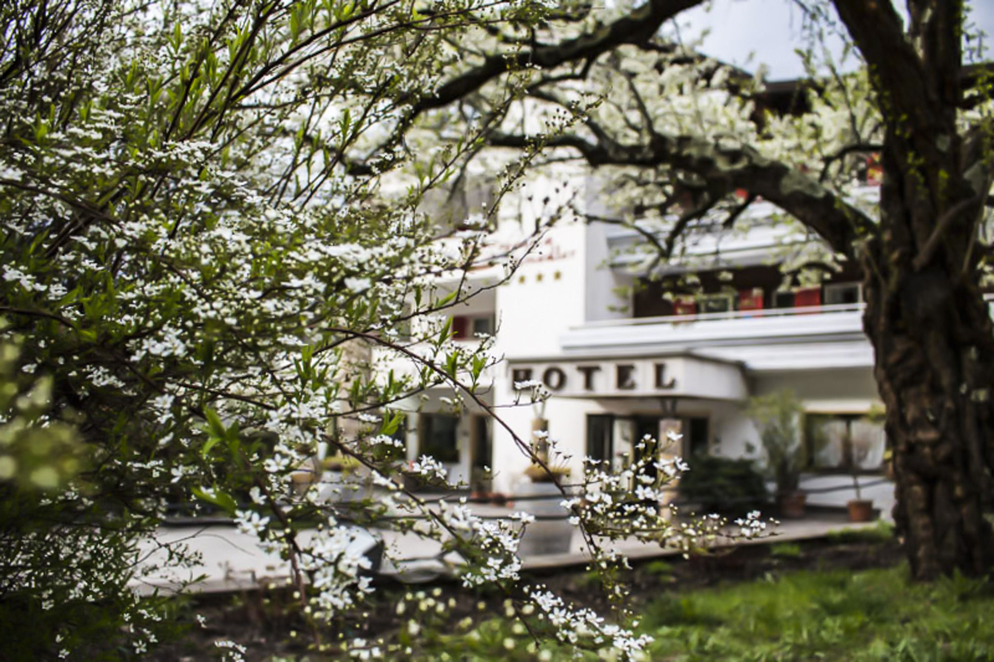 Prinz Rudolf Smart Hotel メラーノ エクステリア 写真